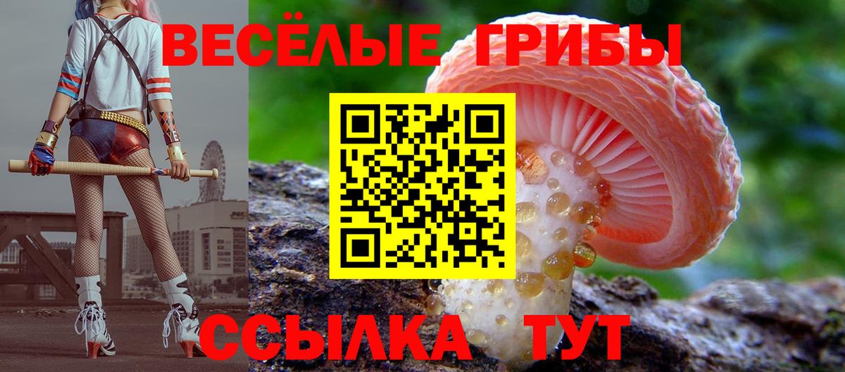 Псилоцибиновые грибы мухоморы Выборг