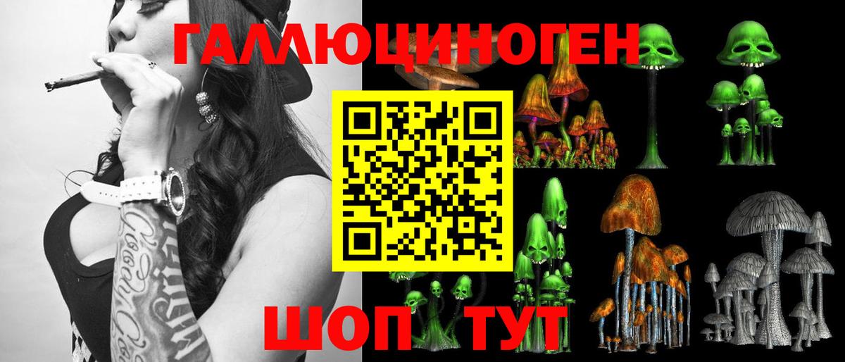 Галлюциногенные грибы мицелий  Галлюциногенные грибы ЛСД  Вход с VPN  Выборг 