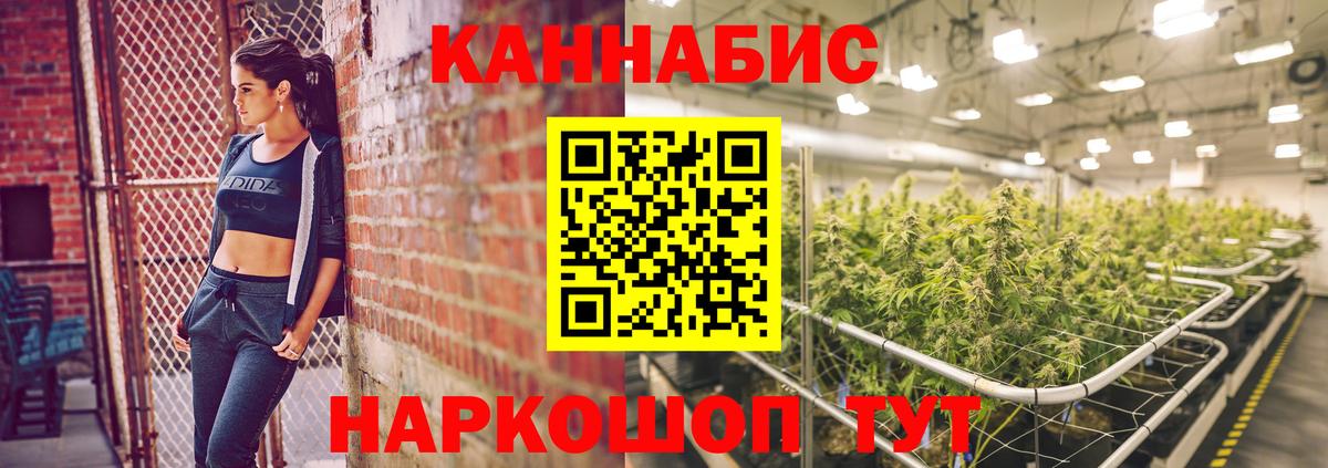 МАРИХУАНА сатива Выборг